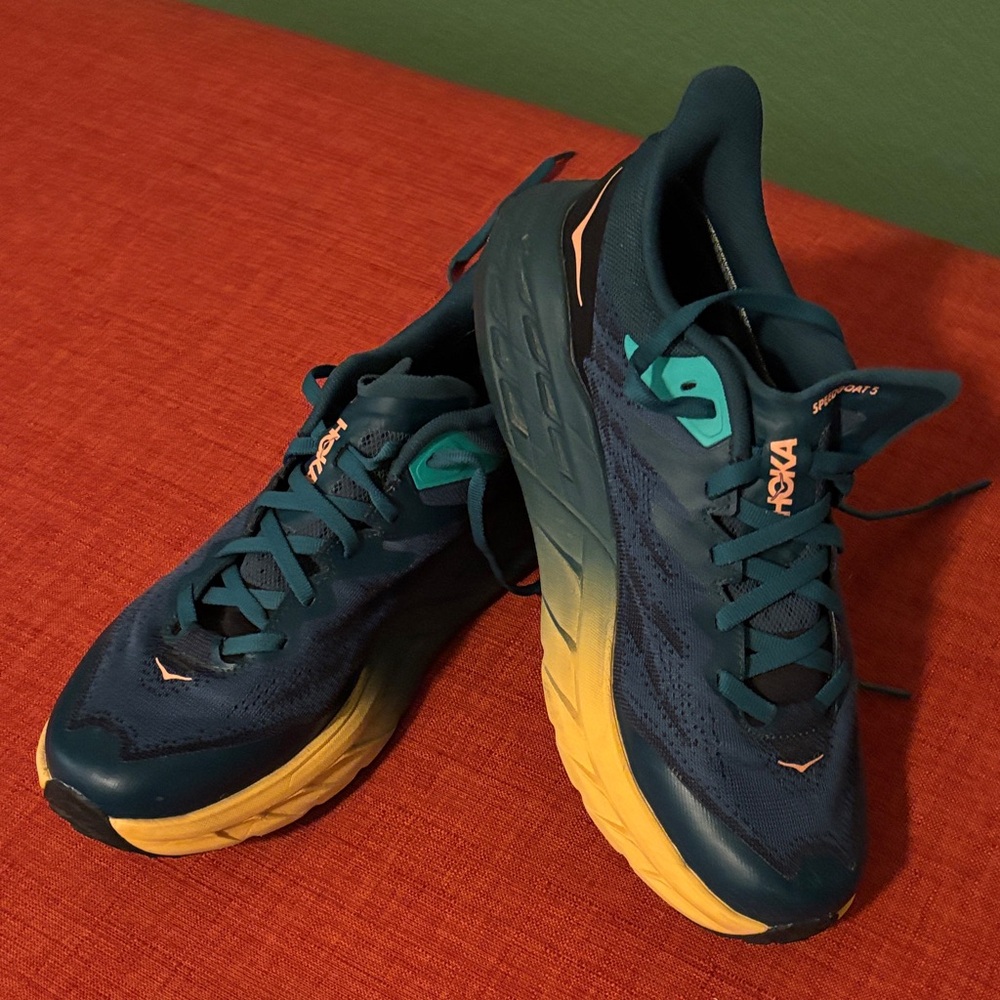 Hoka Speedgoat 5 GORE TEX Men's Teal and Orange Running Shoes
